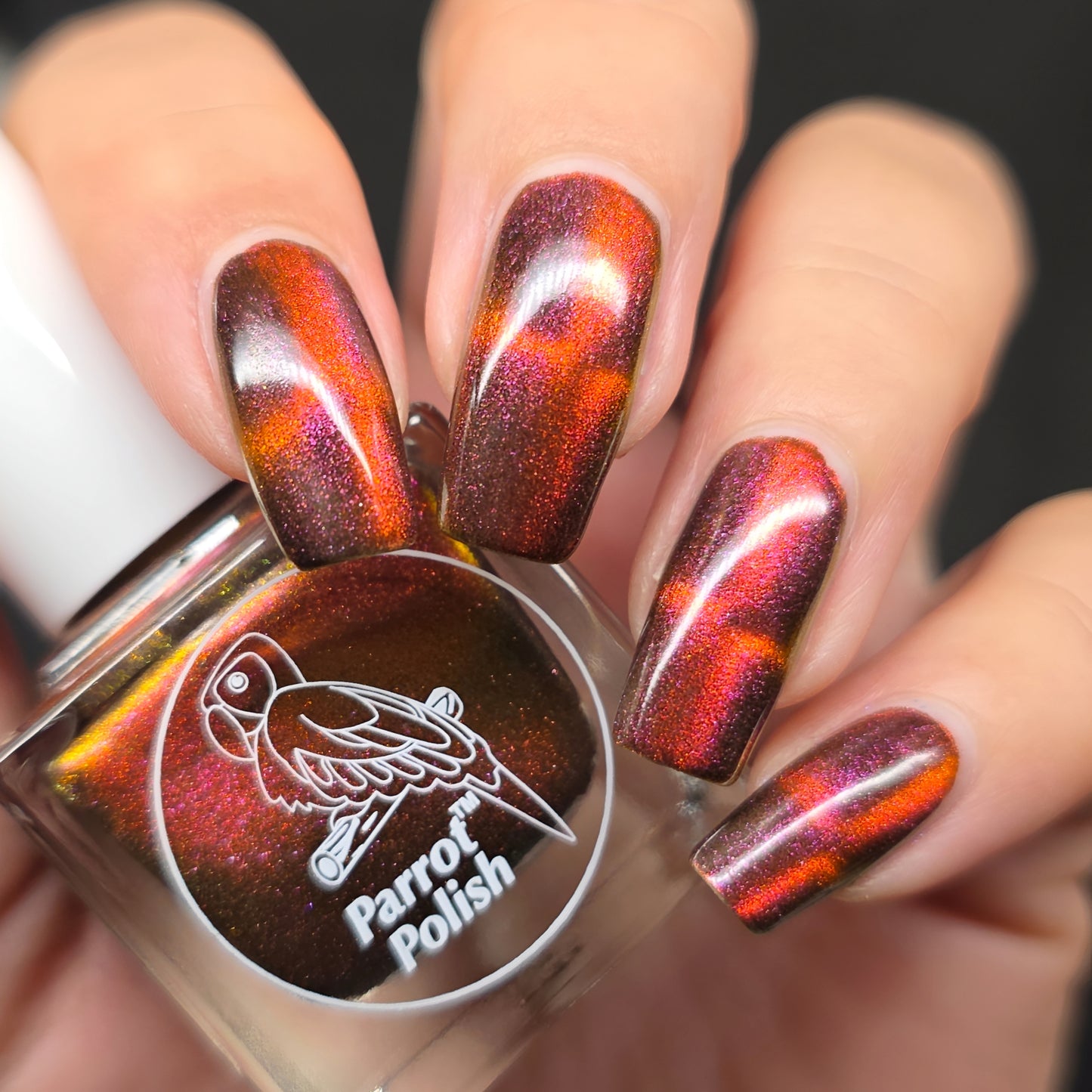 Parrot Polish Black Cat Multichrome Magnetic Nail Lacquer Red Black