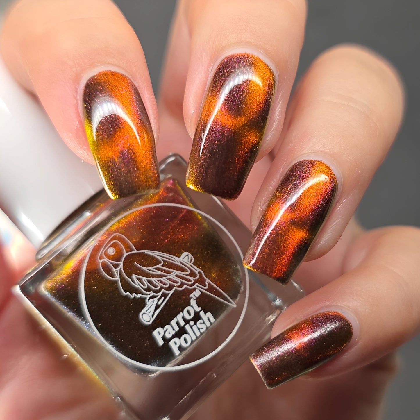 Parrot Polish Black Cat Multichrome Magnetic Nail Lacquer Red Black