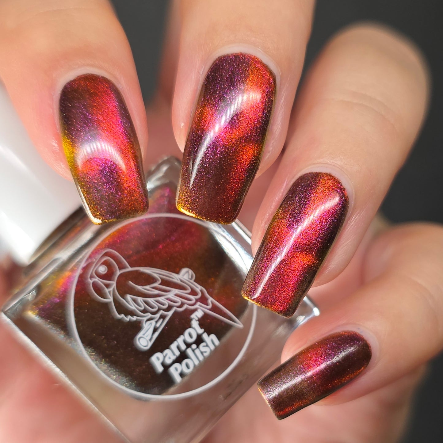 Parrot Polish Black Cat Multichrome Magnetic Nail Lacquer Red Black
