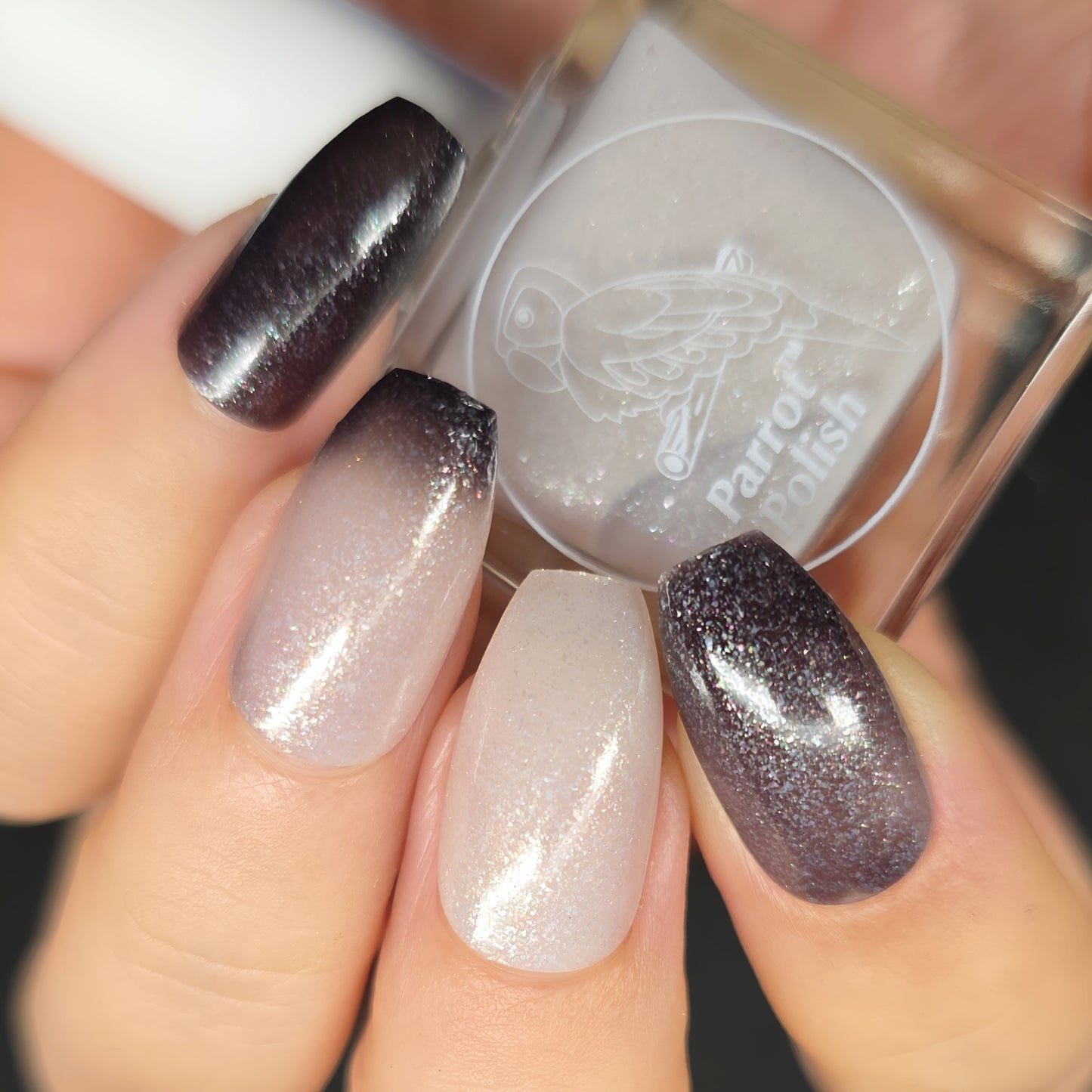 Parrot Polish Frozen Darkness Thermal Nail Lacquer Black/Clear Frost .05 Fl oz