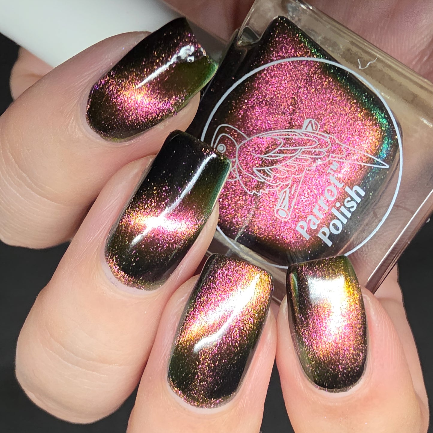Parrot Polish Bulldog Chasing Magnetic Multichrome Nail Lacquer- Brown Black 0.5 Fl oz
