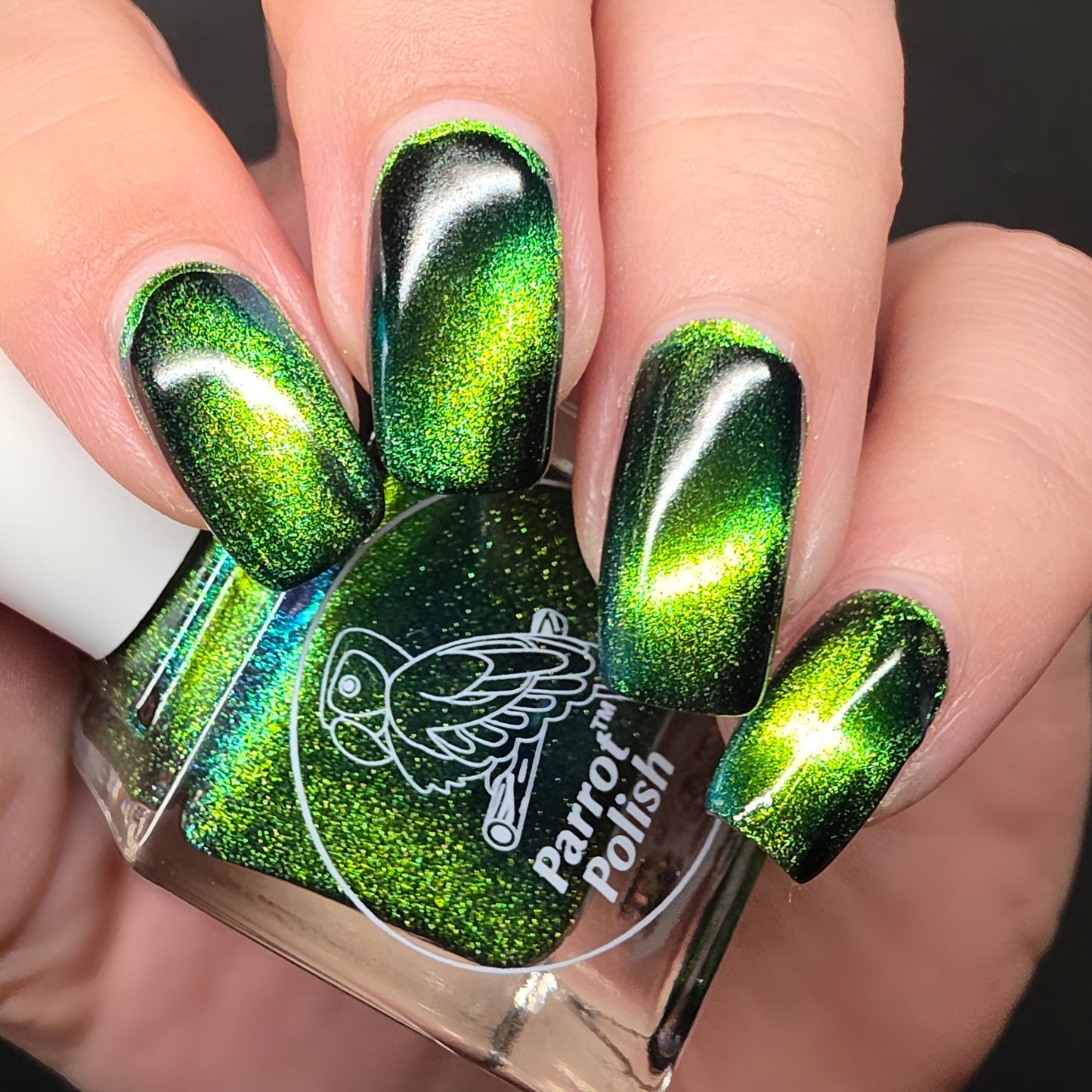 Parrot Polish Papillon Skating Magnetic Multichrome Nail Lacquer- Green Black 0.5 Fl oz