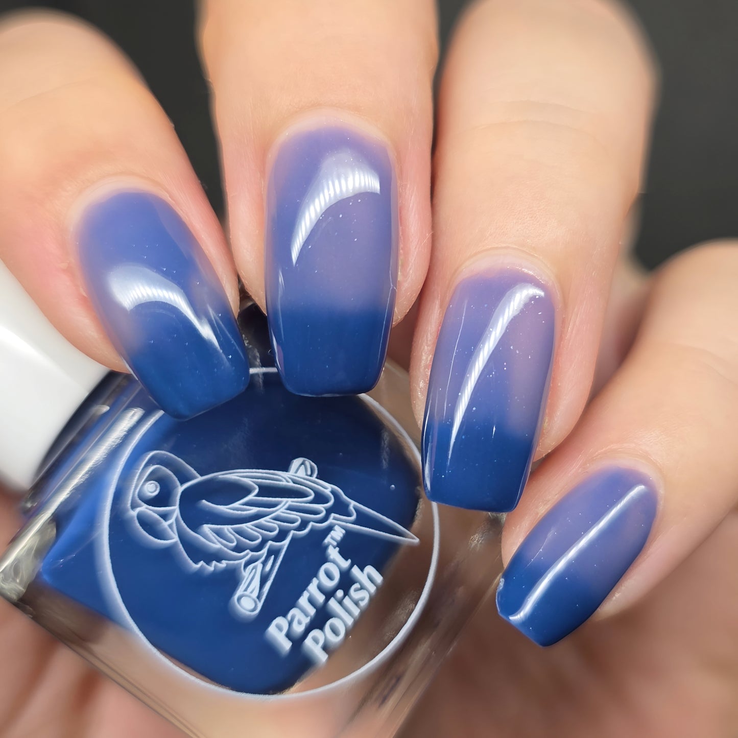 Parrot Polish Blue Sinai Color Changing Thermal Nail Lacquer Blue/Tan