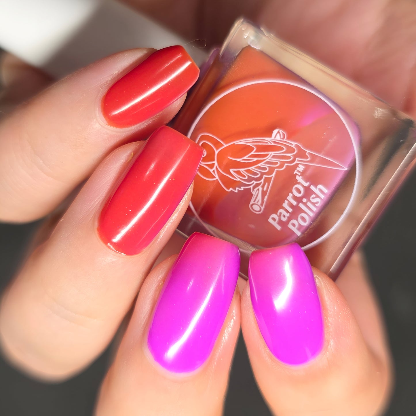 Parrot Polish Twisted Tulips Color Changing Solar Nail Lacquer - Light Purple/Pink