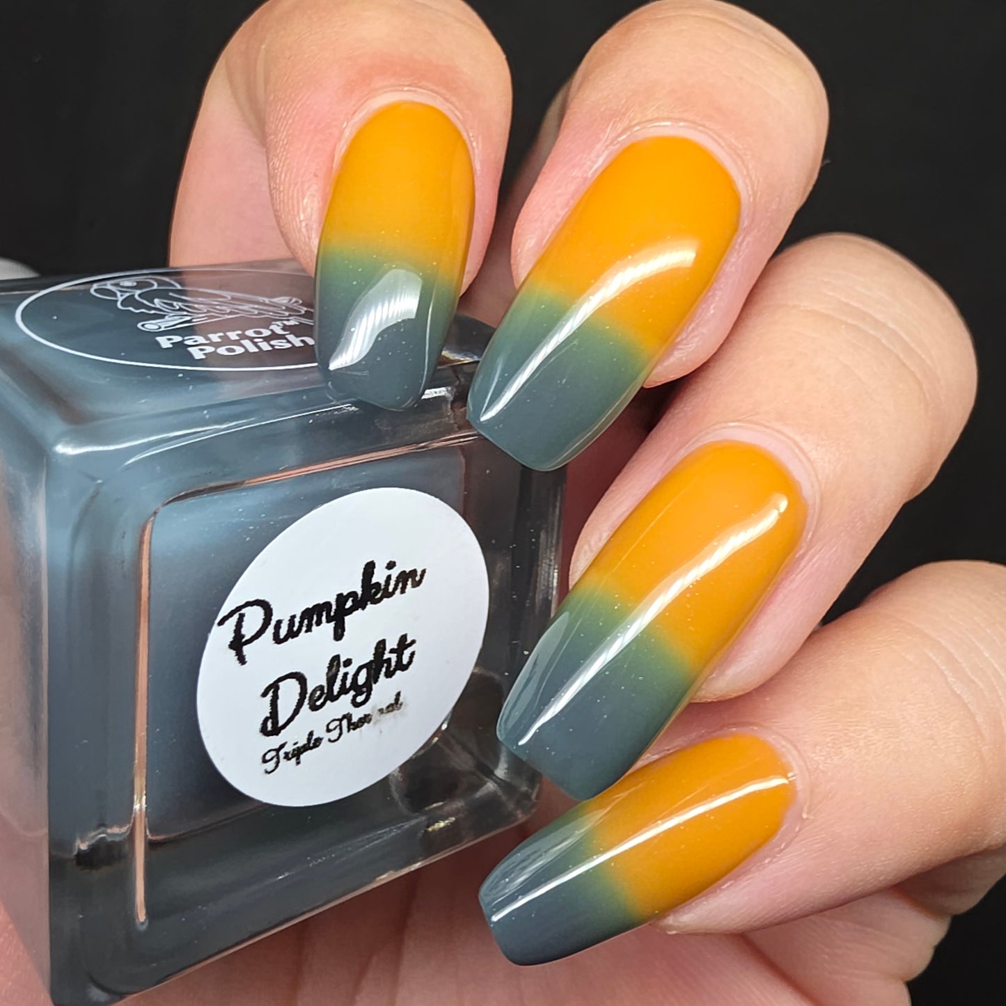 Parrot Polish Pumpkin Delight Color Changing Thermal Nail Lacquer - Green/Blue/Orange 0.5 Fl oz