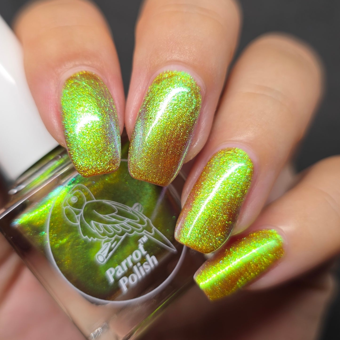 Parrot Polish Aurora Dust Nail Polish - Gremlin Helper, 0.5 Fl Oz