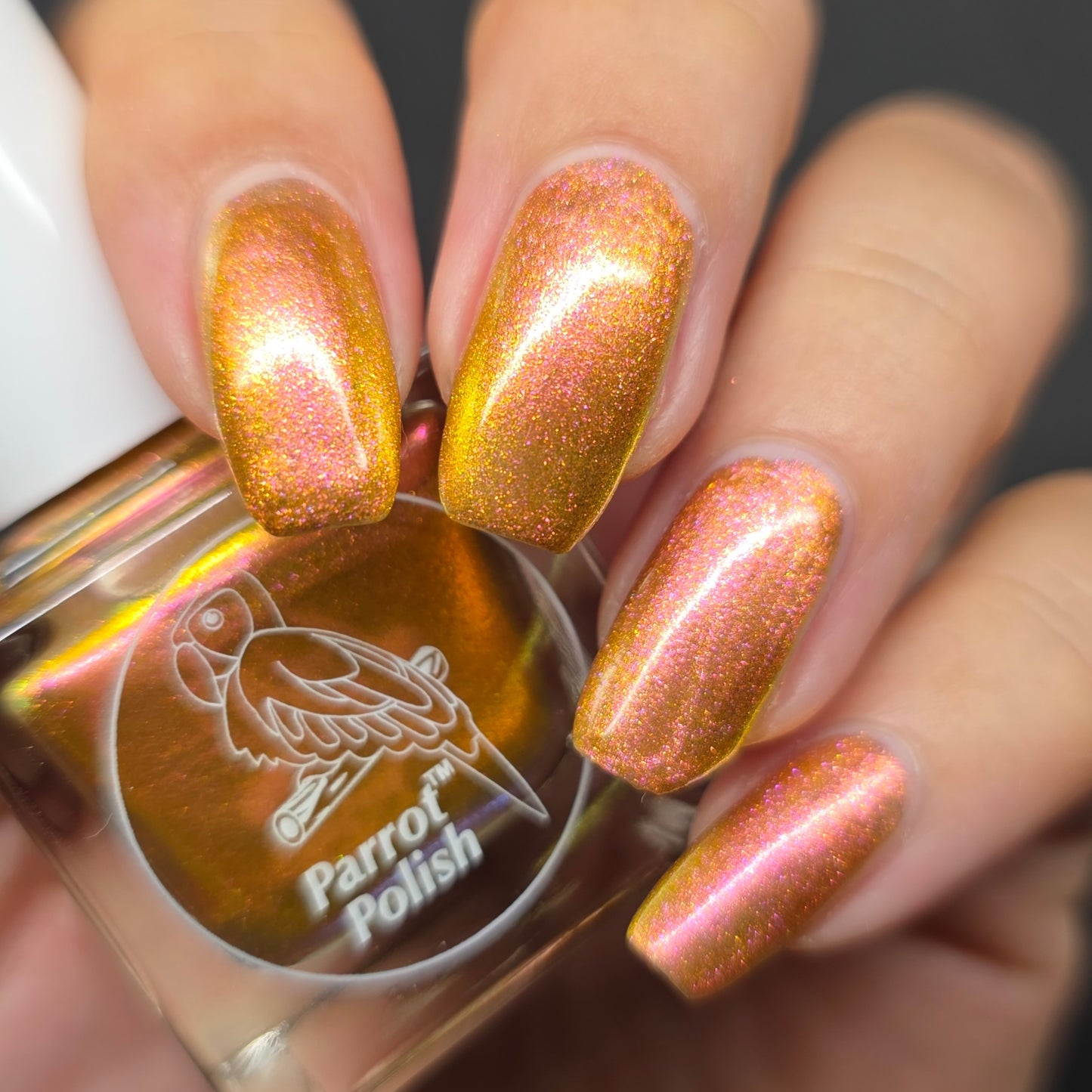 Parrot Polish Aurora Dust Nail Polish - Dragons Fury, 0.5 Fl Oz