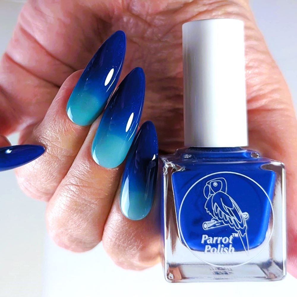 Parrot Polish Tweets by the Ocean Color Changing Thermal Nail Lacquer  Bright Blue/Aqua