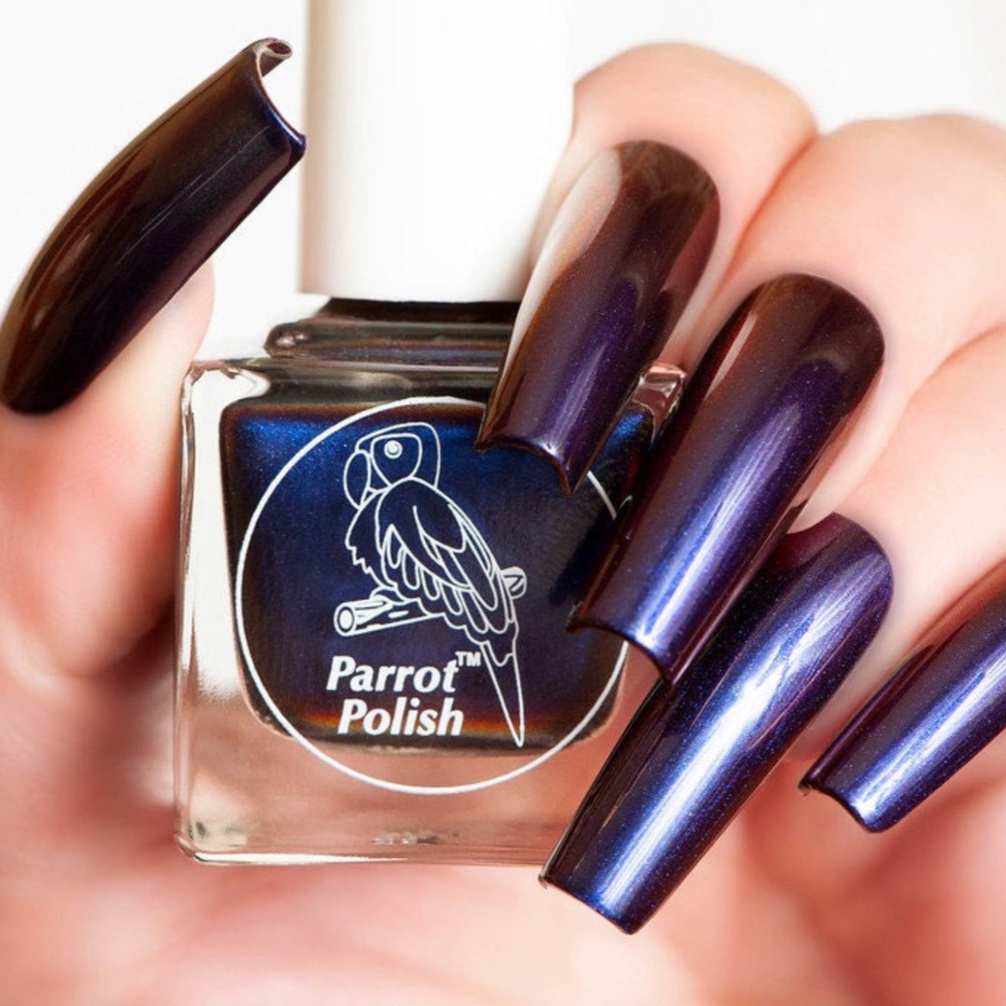 Parrot Polish Armand Multichrome Nail Polish - Blue/Purple
