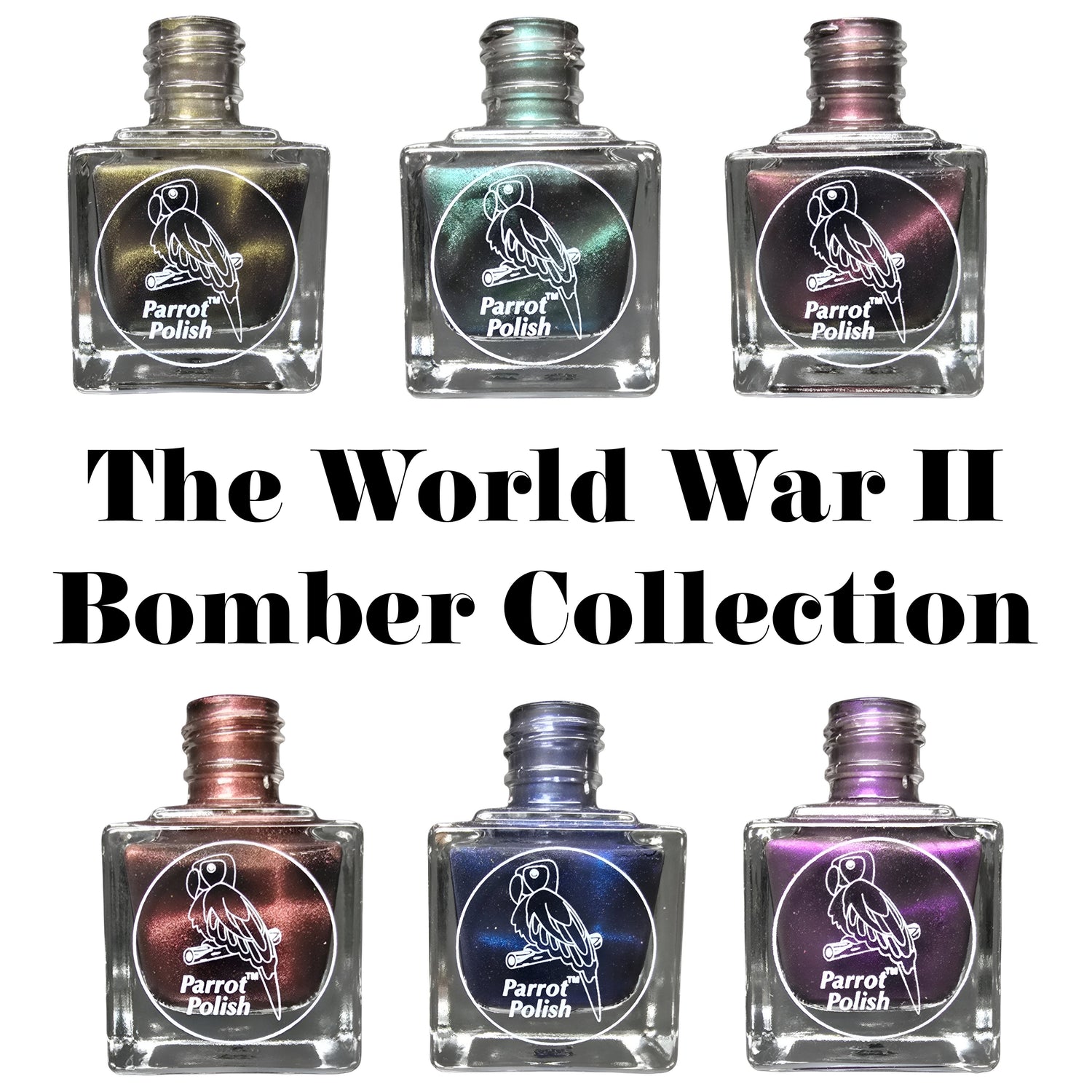 Parrot Polish WW2 Magnetic Polish 6