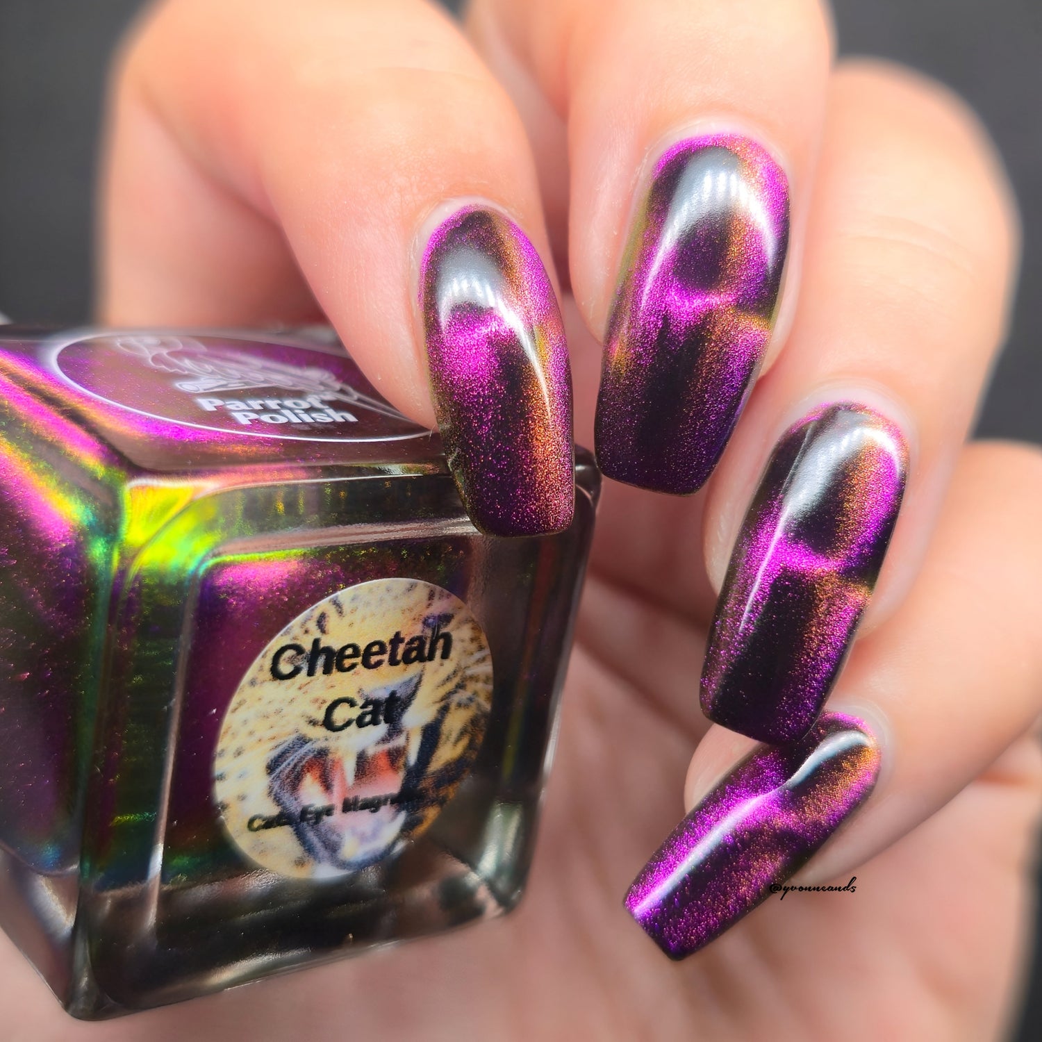 The Magnetic Multichrome Cats Eye Collection