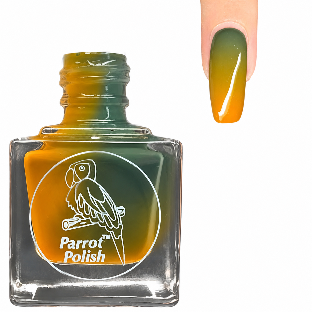 Parrot Polish Pumpkin Delight Color Changing Thermal Nail Lacquer - Green/Blue/Orange 0.5 Fl oz