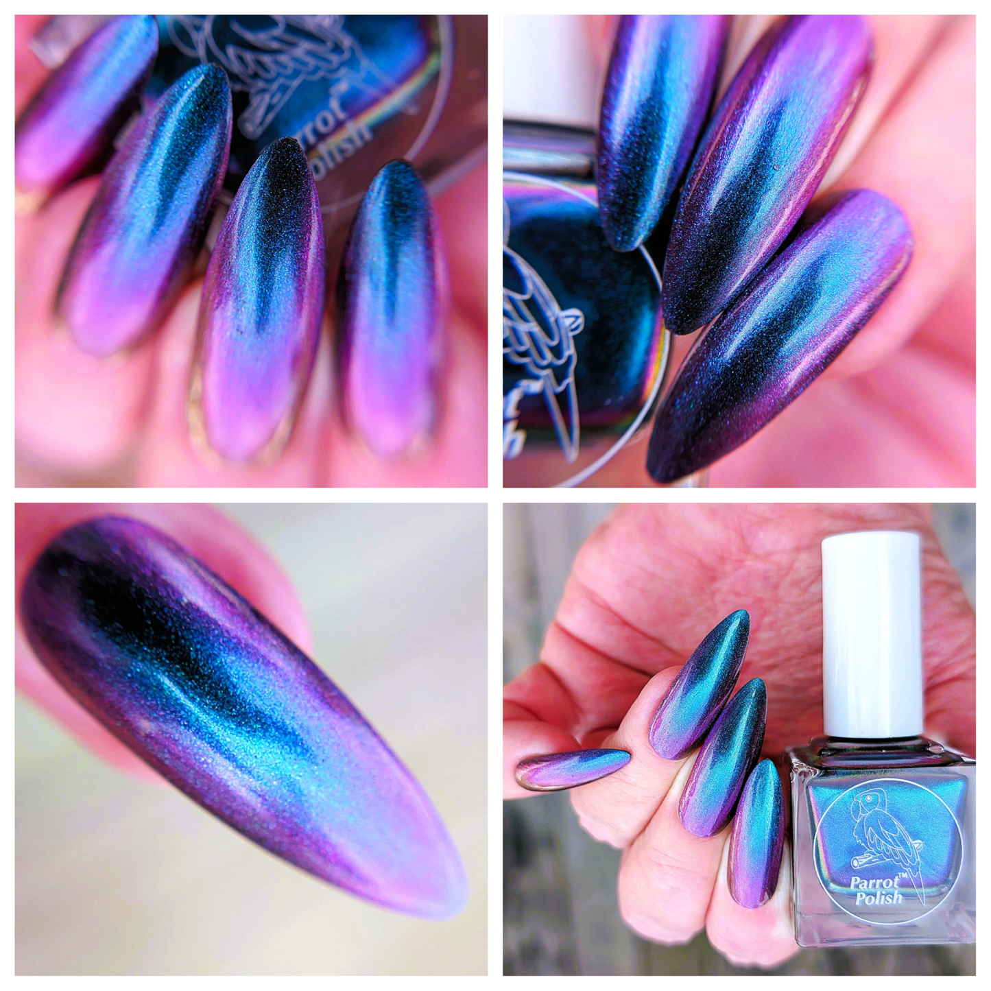 Parrot Polish Phoebe Ultrachrome Blue Pink Purple Nail Lacquer 0.5 Fl oz