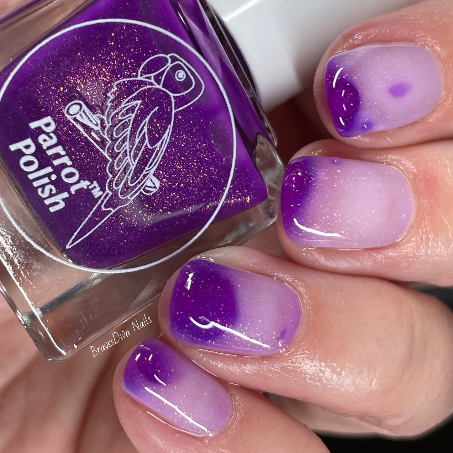 Parrot Polish Fairy Thermal Nail Polish V2 - Purple/Clear Gold Shimmer