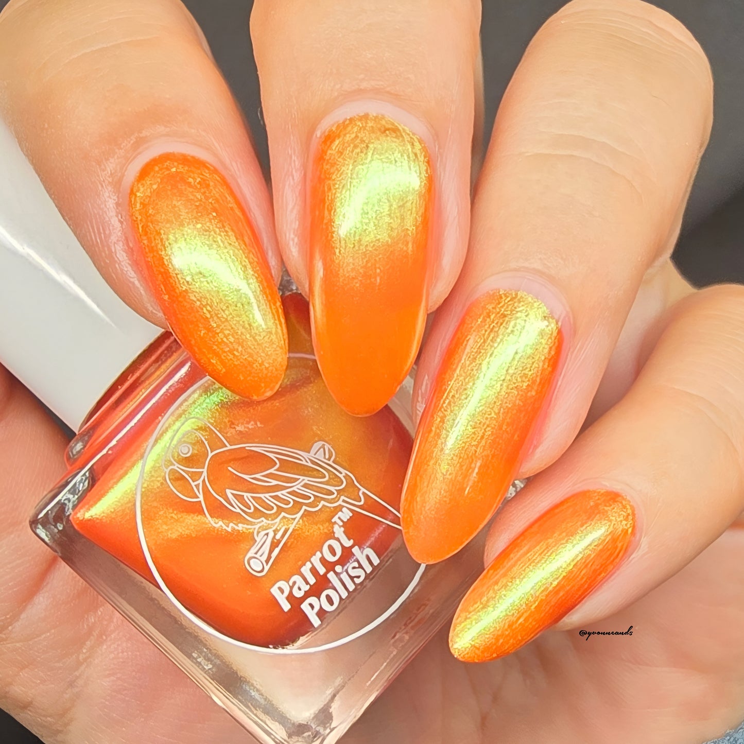 Parrot Polish Frozen Orange Juice 60s Shimmer Nail Lacquer Orange/Gold Shimmer