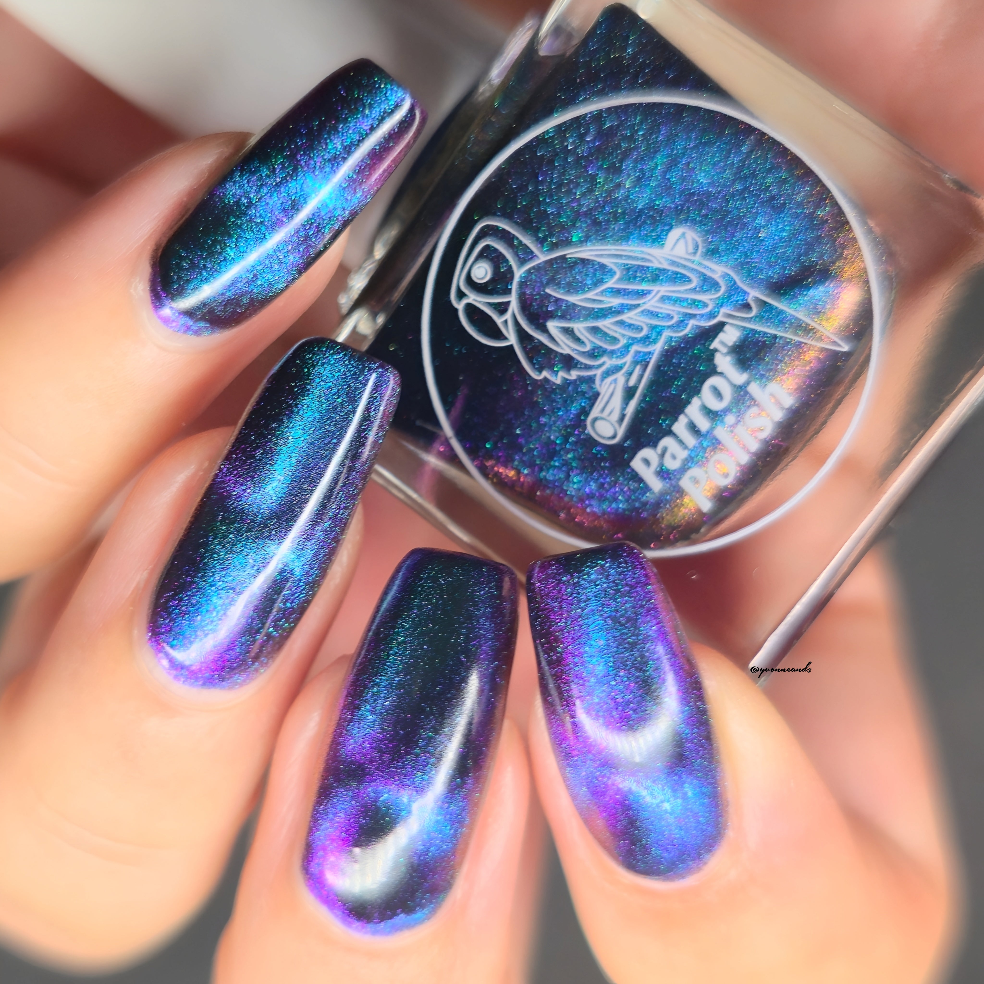 Parrot Polish Panther Cat Magnetic Multichrome Nail Lacquer Purple/Blu