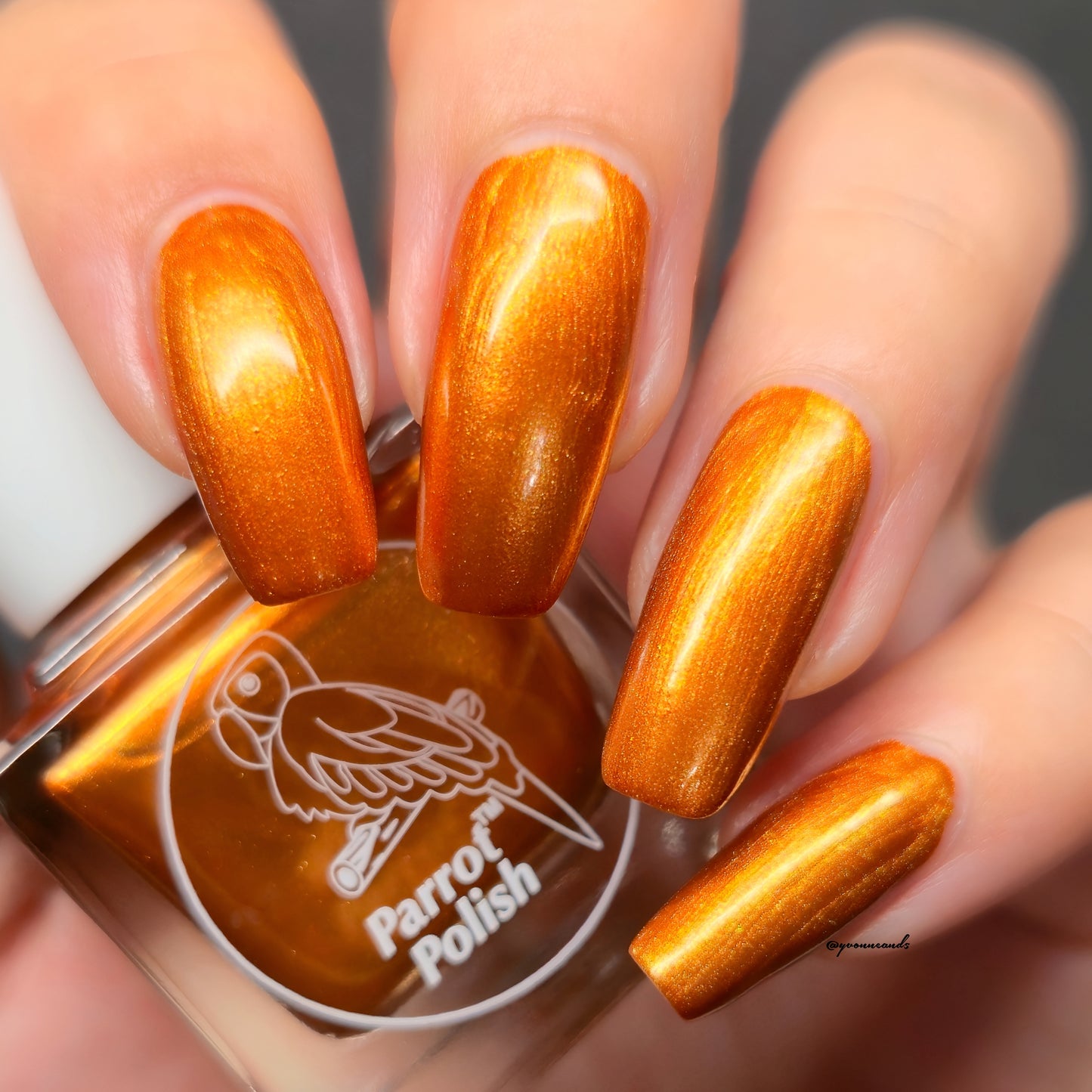 Parrot Polish Utah Fall Shimmer Nail Lacquer Brown/Golden