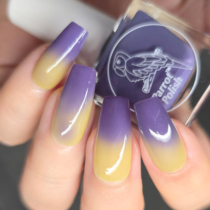 Parrot Polish Snow Crocus Thermal Color Changing Nail Lacquer Purple Yellow
