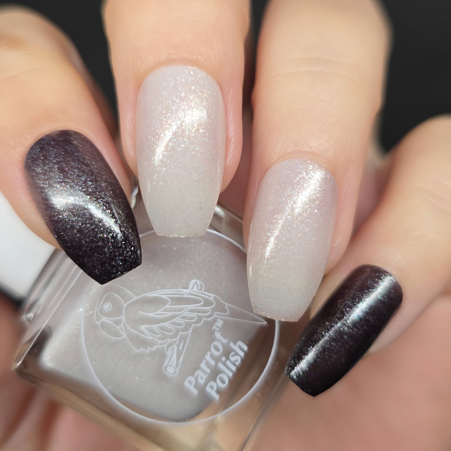 Parrot Polish Frozen Darkness Thermal Nail Lacquer Black/Clear Frost  .05 Fl oz