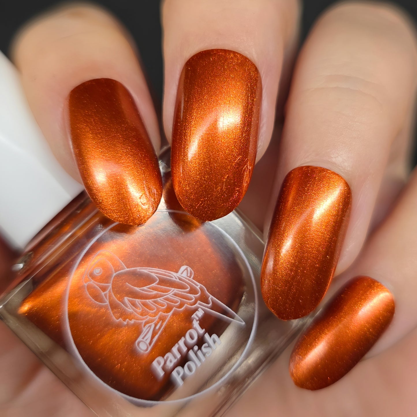 Parrot Polish Iron City Winter Shimmer Nail Lacquer Copper   .05 Fl oz