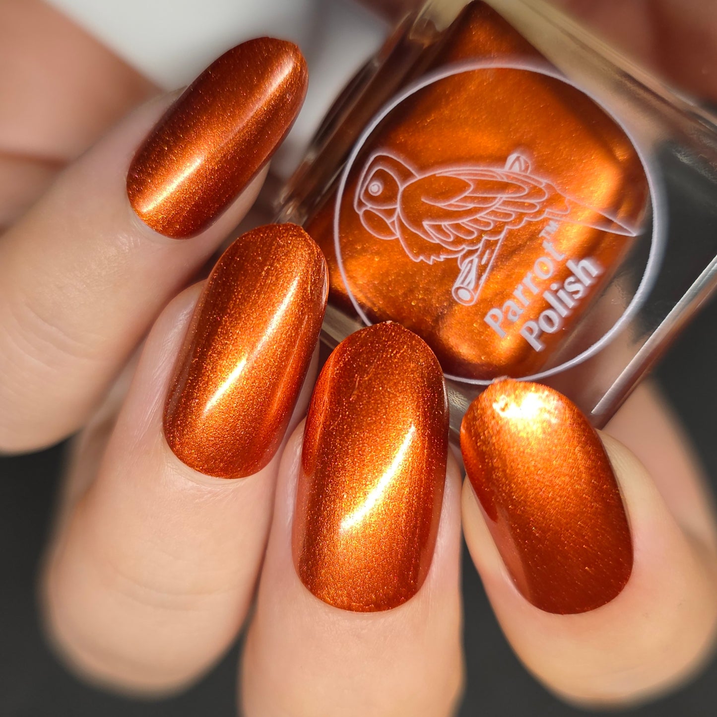 Parrot Polish Iron City Winter Shimmer Nail Lacquer Copper   .05 Fl oz