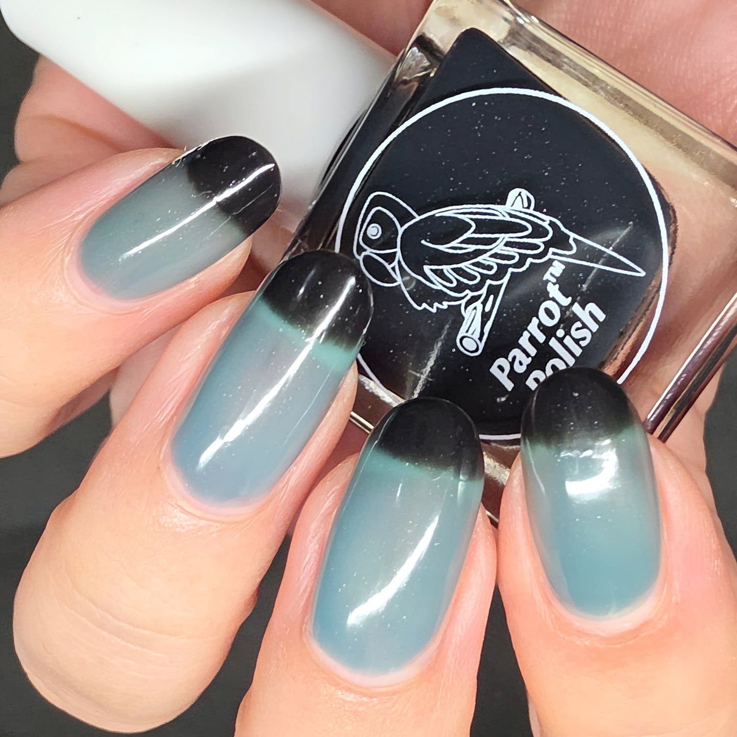 Parrot Polish Tropical Storm Thermal Nail Lacquer-Black/Blue 0.5 Fl oz
