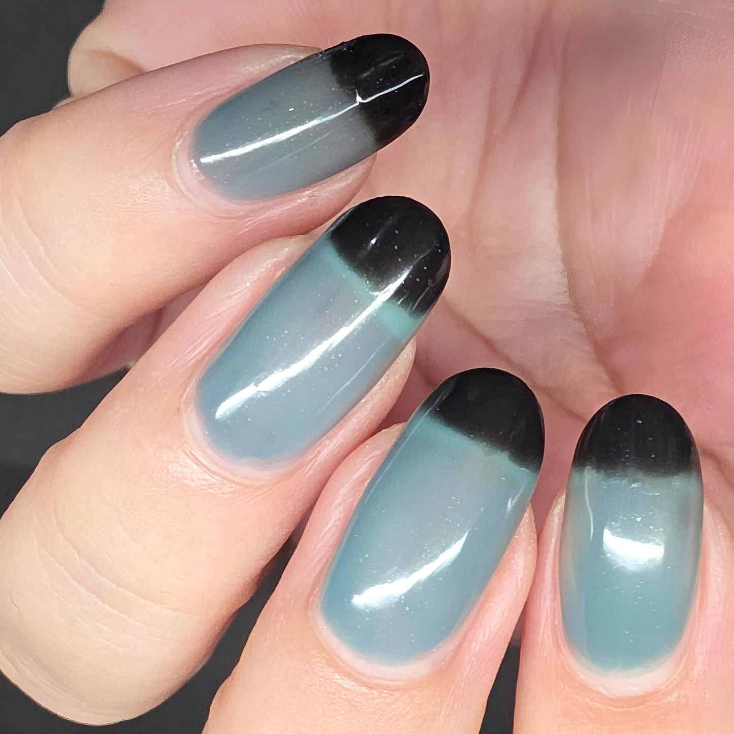 Parrot Polish Tropical Storm Thermal Nail Lacquer-Black/Blue 0.5 Fl oz