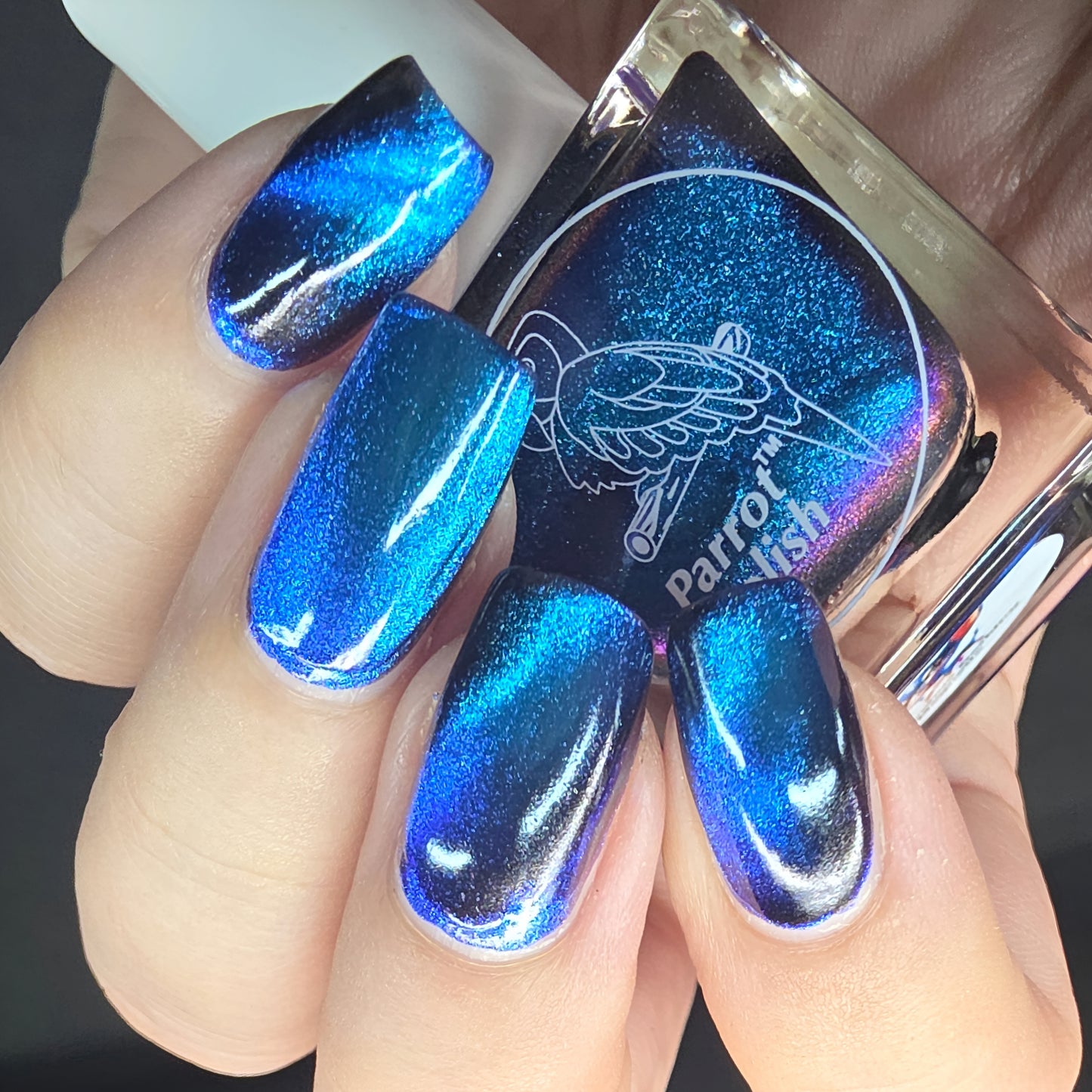 Parrot Polish Chihuahua Barking Magnetic Multichrome Nail Lacquer- Black Blue 0.5 Fl oz