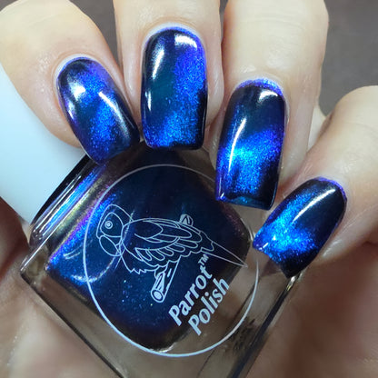 Parrot Polish Chihuahua Barking Magnetic Multichrome Nail Lacquer- Black Blue 0.5 Fl oz