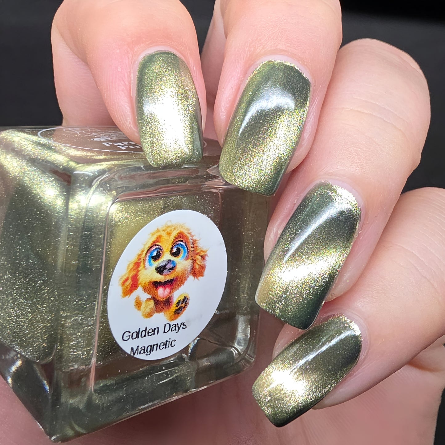 Parrot Polish 5 Puppy Collection Magnetic Multichrome Nail Lacquer- Brown Blue 0.5 Fl oz