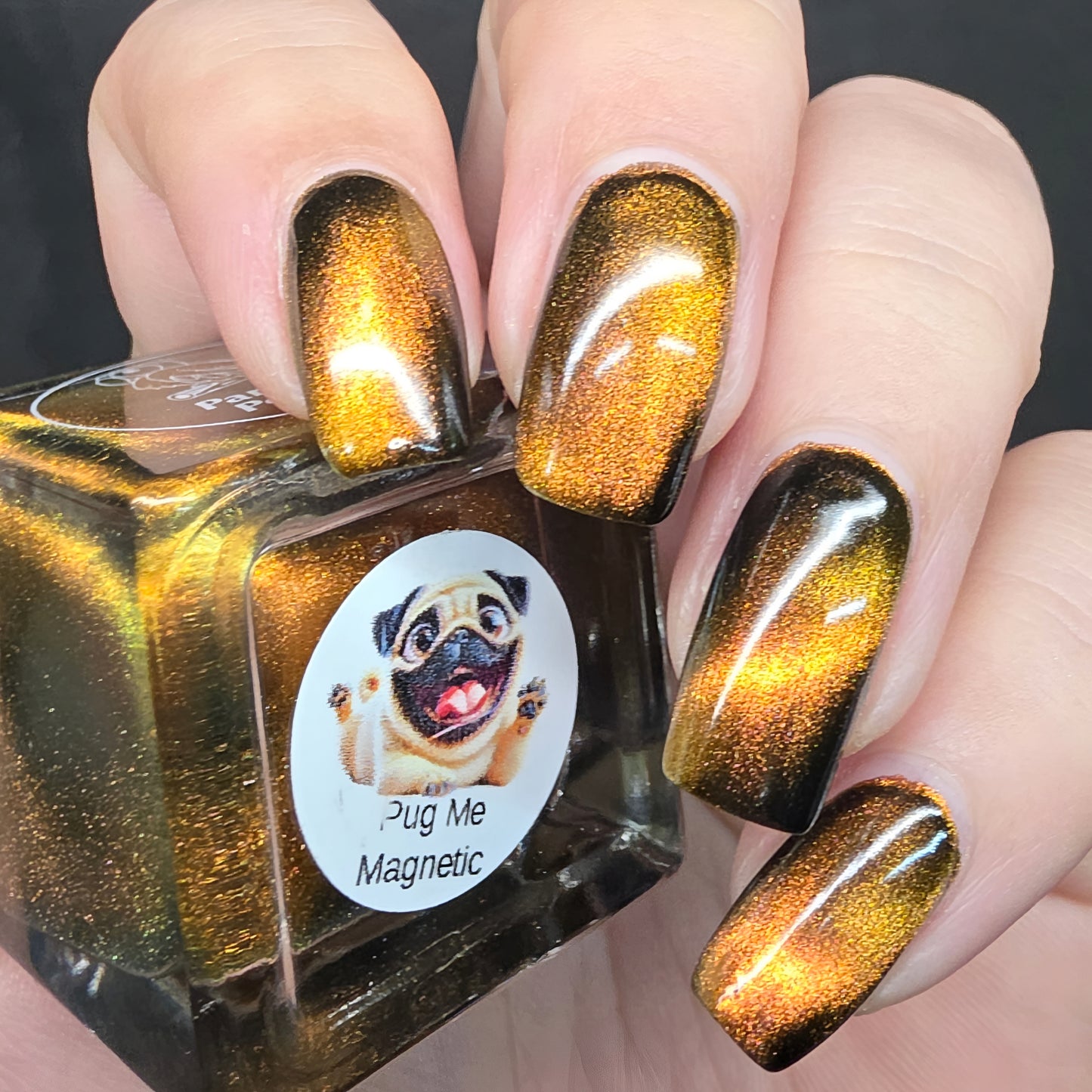 Parrot Polish 5 Puppy Collection Magnetic Multichrome Nail Lacquer- Brown Blue 0.5 Fl oz