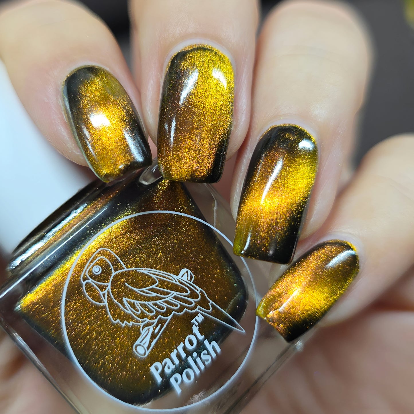 Parrot Polish Pug Me Magnetic Multichrome Nail Lacquer- Brown Black 0.5 Fl oz