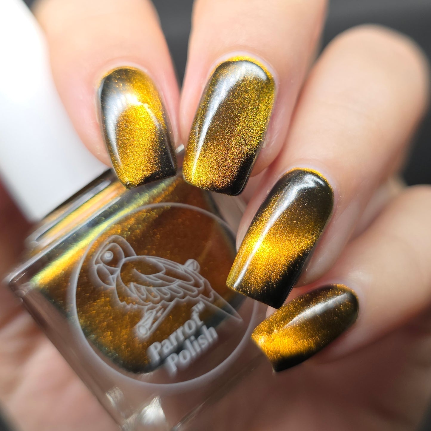 Parrot Polish Pug Me Magnetic Multichrome Nail Lacquer- Brown Black 0.5 Fl oz
