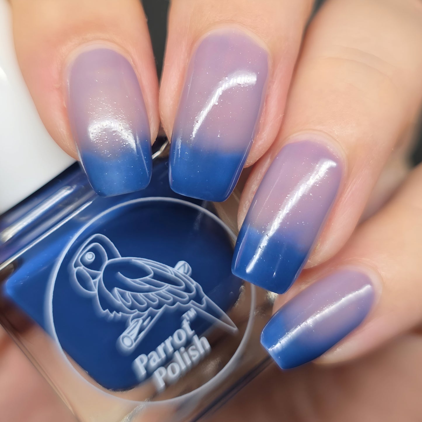 Parrot Polish Blue Sinai Color Changing Thermal Nail Lacquer  Blue/Tan