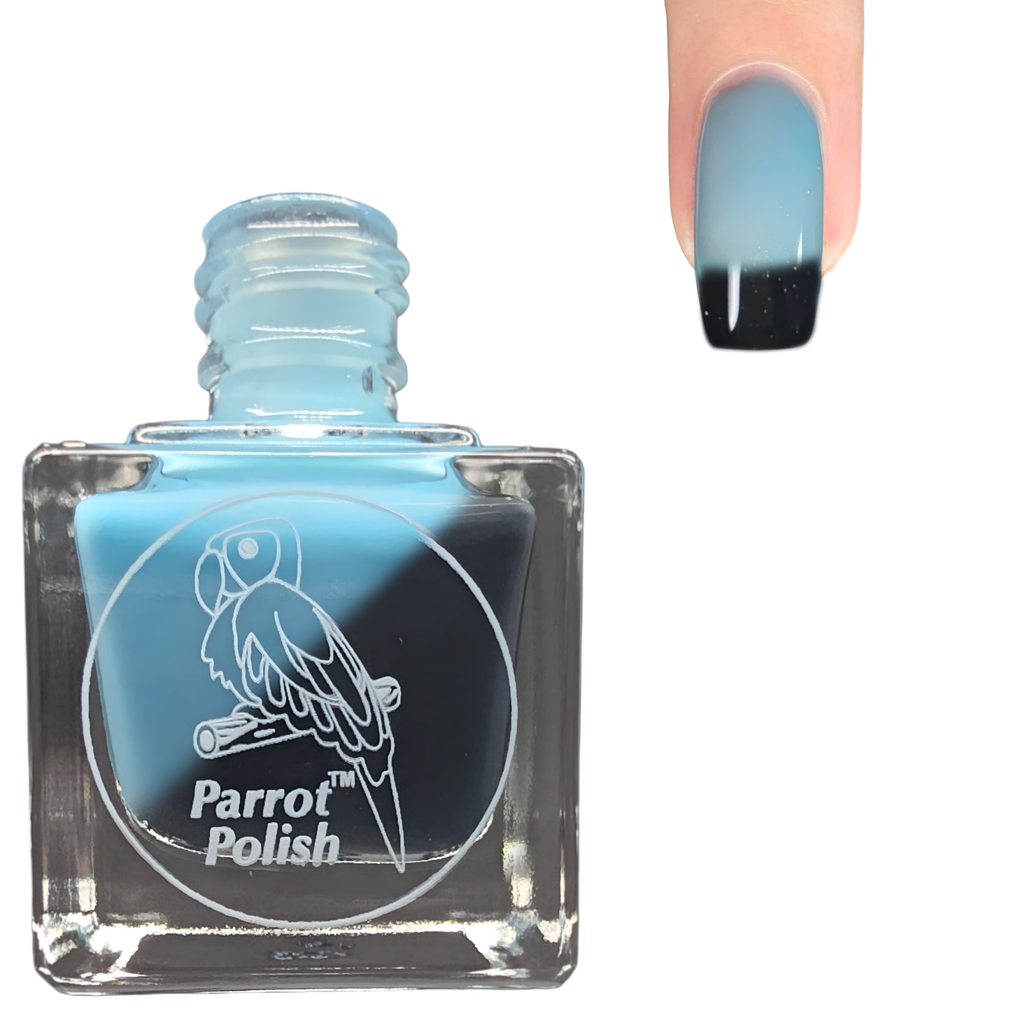 Parrot Polish Tropical Storm Thermal Nail Lacquer-Black/Blue 0.5 Fl oz