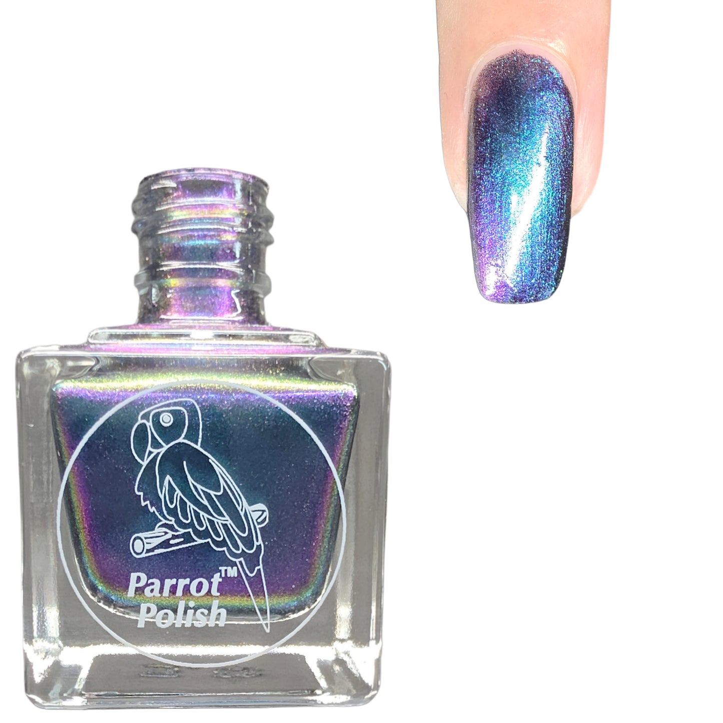 Parrot Polish Phoebe Ultrachrome Blue Pink Purple Nail Lacquer 0.5 Fl oz