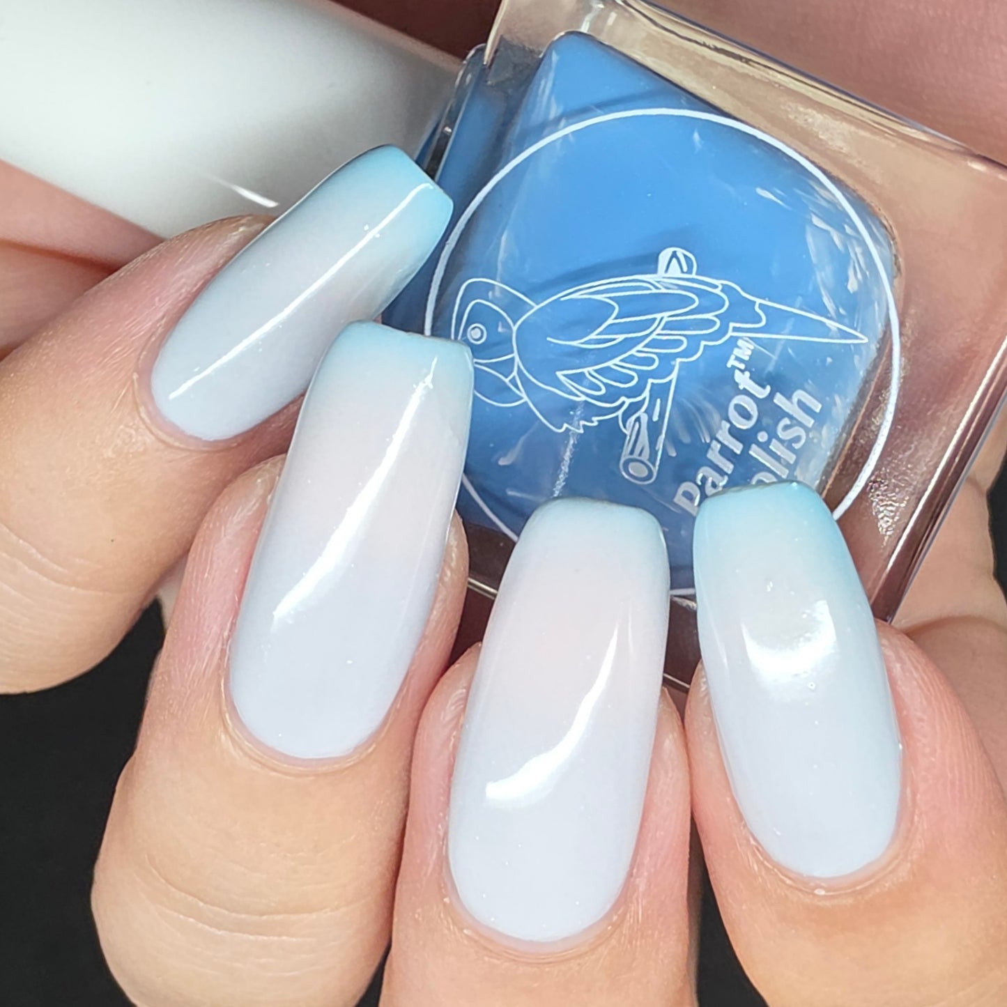 Parrot Polish  The Ocean Calls Us Thermal Nail Lacquer Blue/Teal/White-Pink 0.5 FL