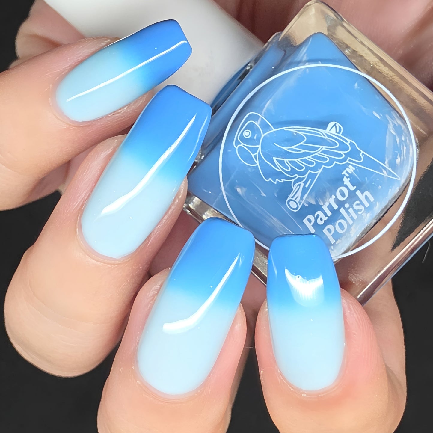 Parrot Polish  The Ocean Calls Us Thermal Nail Lacquer Blue/Teal/White-Pink 0.5 FL