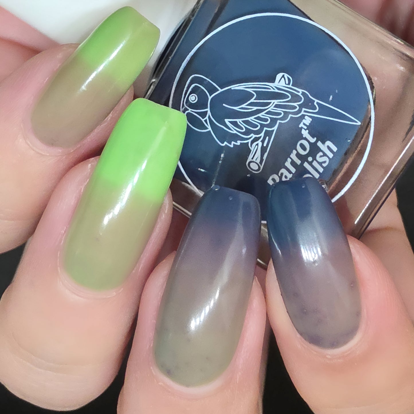 Parrot Polish Lime Surprise Thermal Nail Lacquer Blue/Mauve/Green 0.5 FLoz