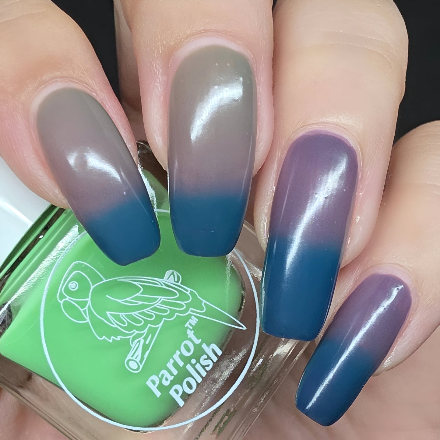Parrot Polish Lime Surprise Thermal Nail Lacquer Blue/Mauve/Green 0.5 FLoz