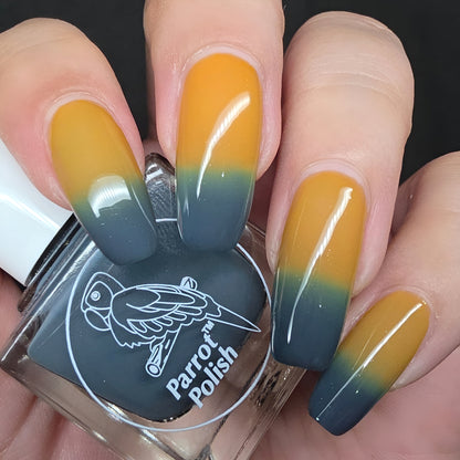 Parrot Polish Pumpkin Delight Color Changing Thermal Nail Lacquer - Green/Blue/Orange 0.5 Fl oz