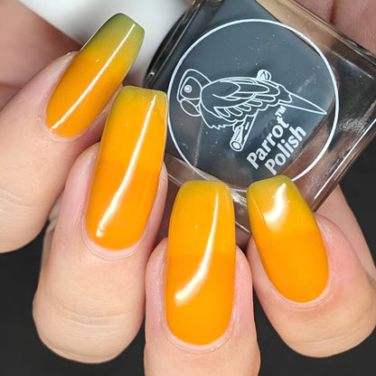 Parrot Polish Pumpkin Delight Color Changing Thermal Nail Lacquer - Green/Blue/Orange 0.5 Fl oz