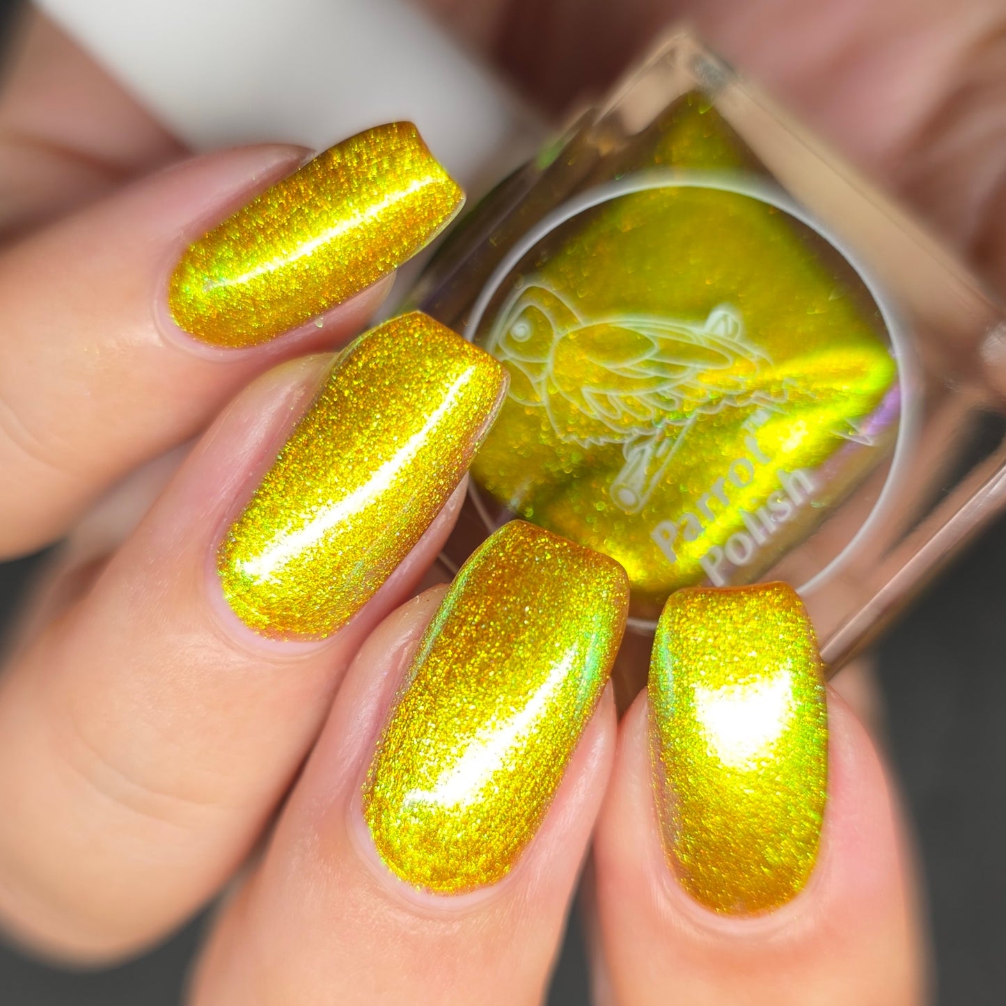 Parrot Polish Aurora Dust Nail Polish - Glimmer Of Gold, 0.5 Fl Oz