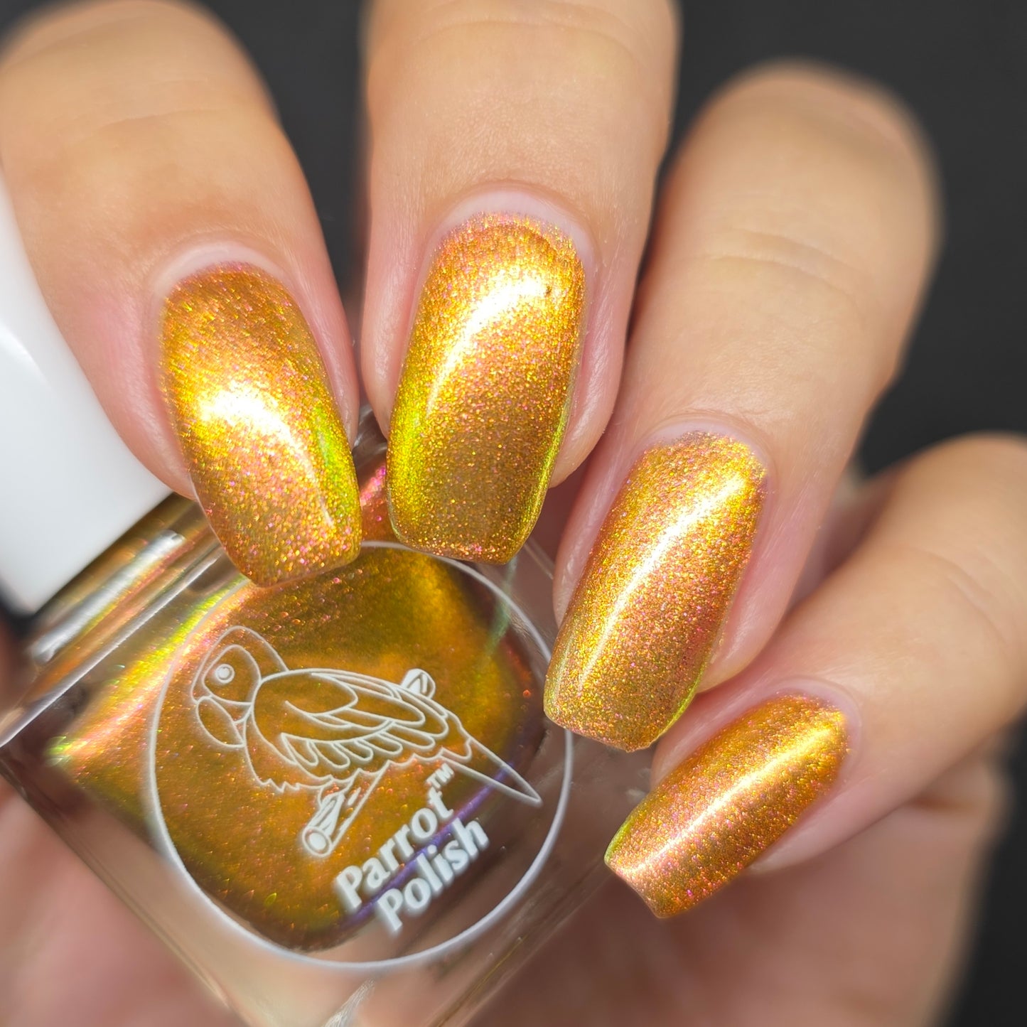 Parrot Polish Aurora Dust Nail Polish - Sunsational Dream, 0.5 Fl Oz