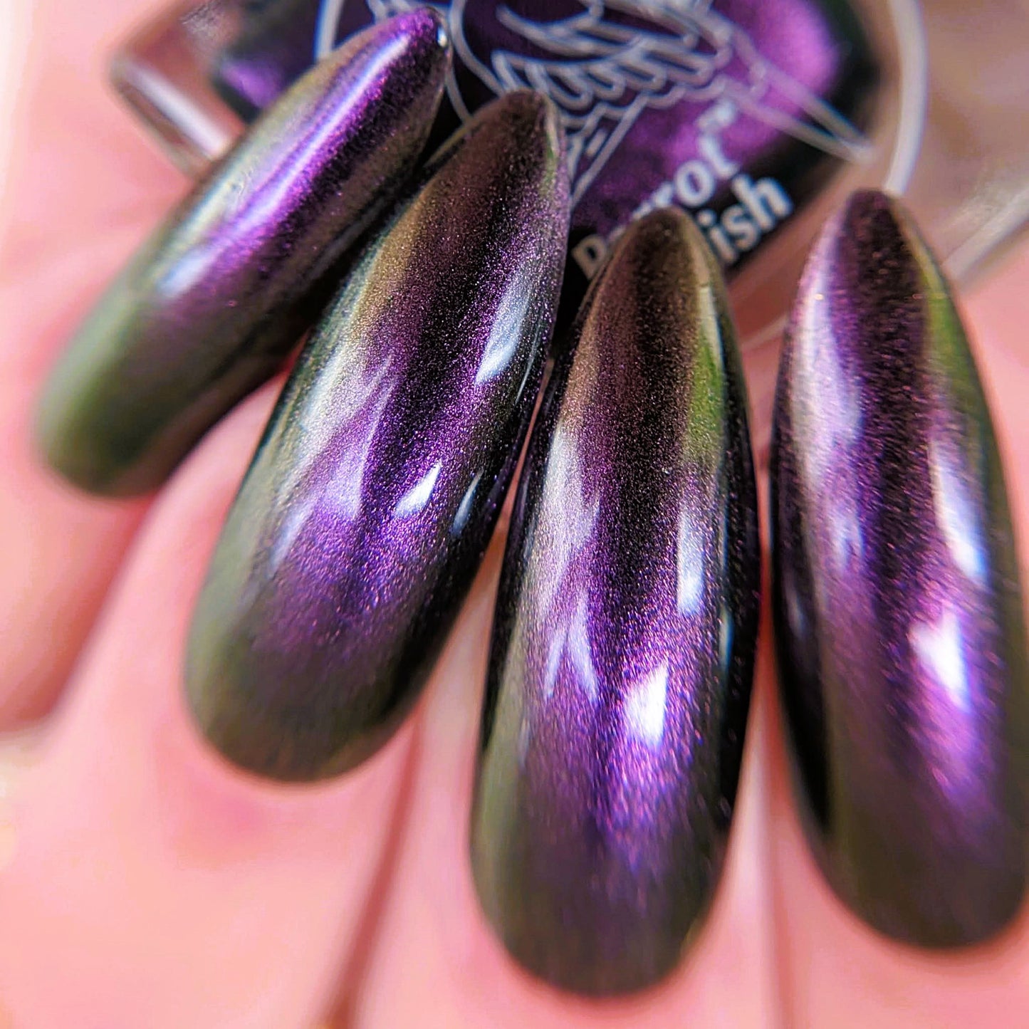 Parrot Polish Louis De Pointe Du Luc Vampire Purple Gold Ultrachrome Nail Lacquer 0.5 Fl oz