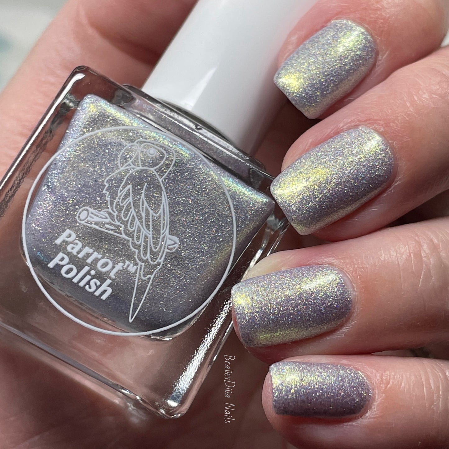 Parrot Polish "Family" 2024 Spring  Gold/Silver Ultrachrome Holographic