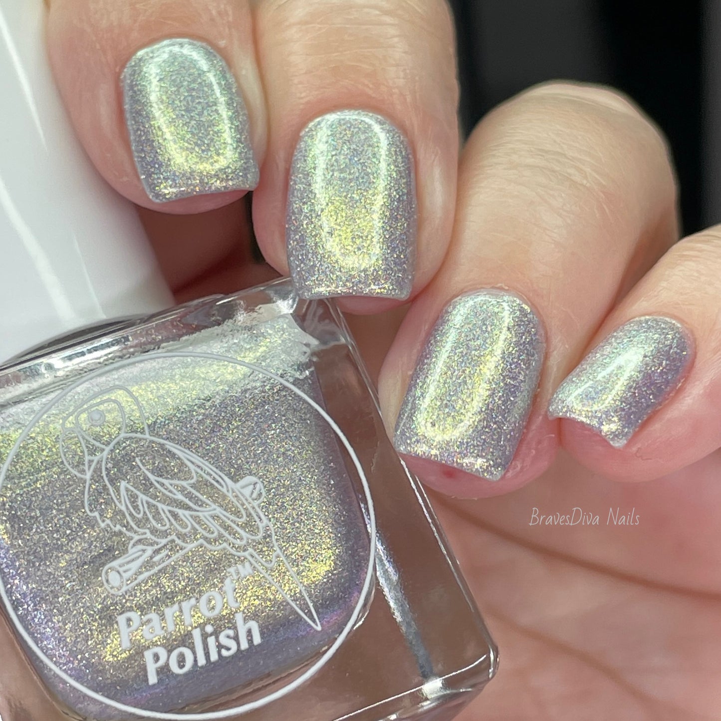 Parrot Polish "Family" 2024 Spring  Gold/Silver Ultrachrome Holographic