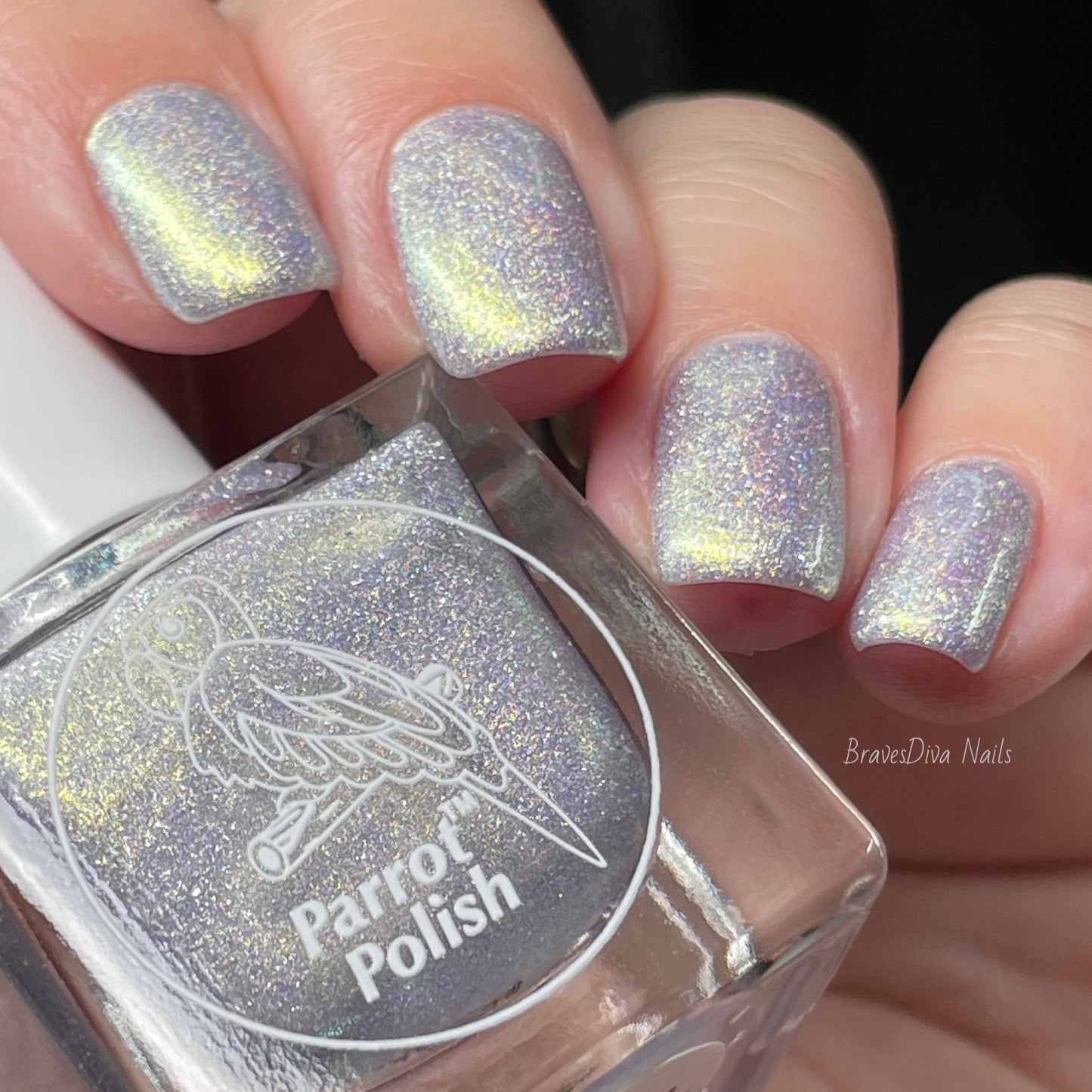 Parrot Polish "Family" 2024 Spring  Gold/Silver Ultrachrome Holographic