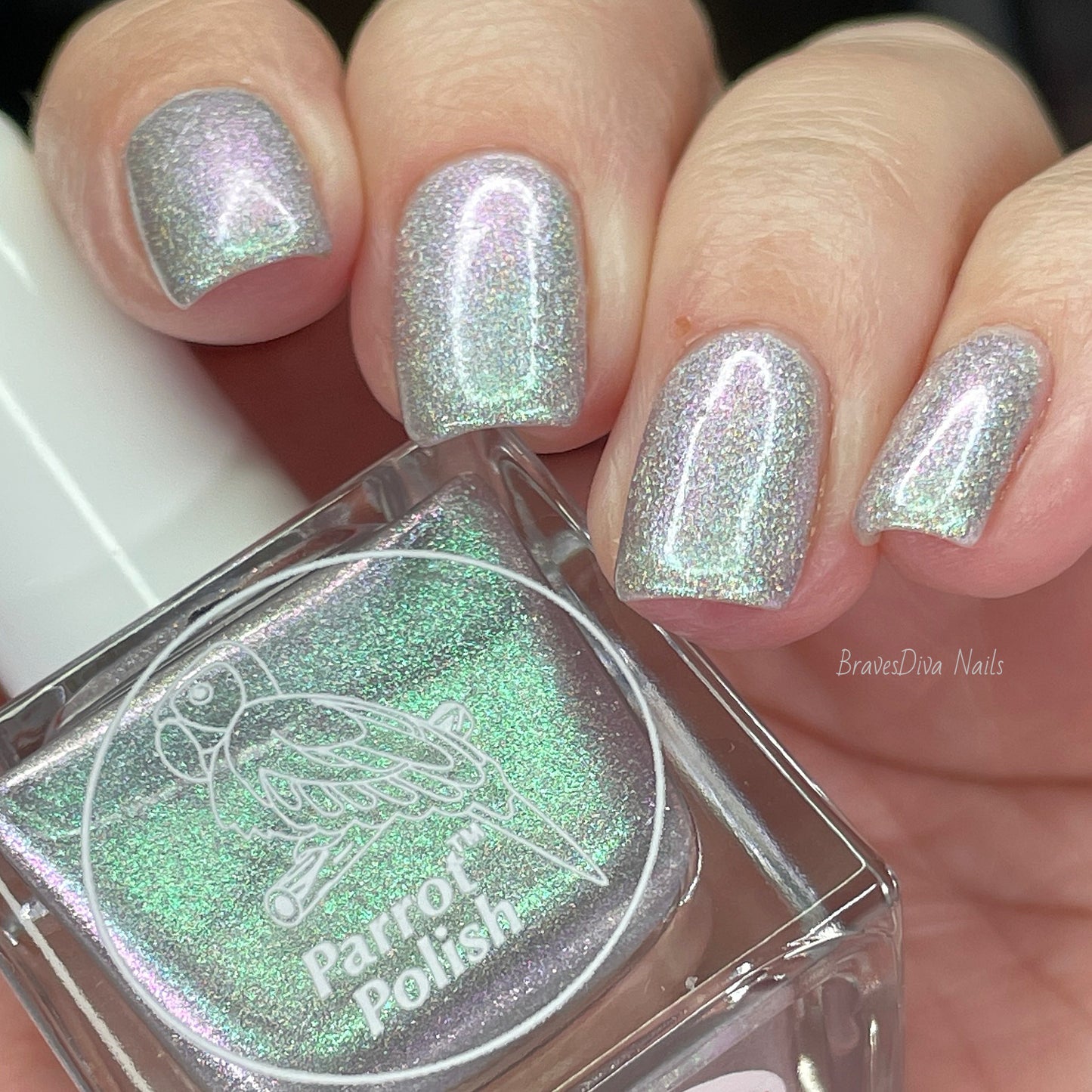 Parrot Polish "Friends" 2024 Spring  Blue/Green Ultrachrome Holographic