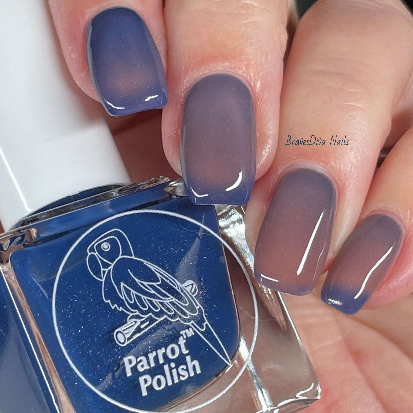 Parrot Polish Blue Sinai Thermal Nail Polish Blue/Tan